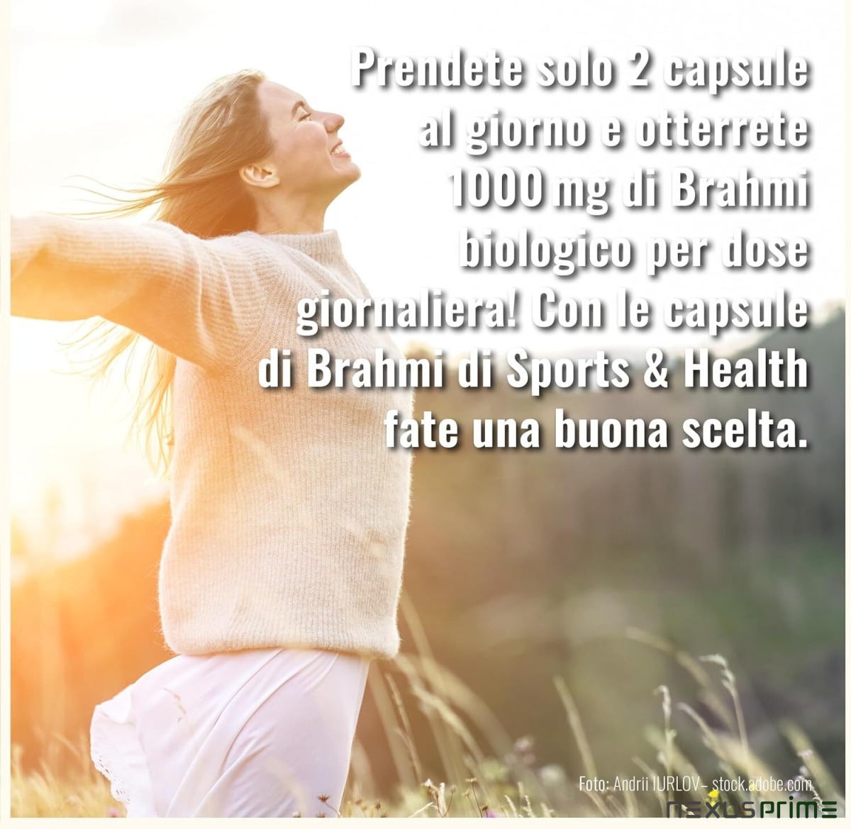 Capsule di Brahmi - 200 Capsule - Integratore Memoria - Bacopa Monnieri Perfettamente Dosata - 1000 mg di Polvere di Brahmi al giorno - Biologico - Vegan - Senza additivi - Ingredienti naturali : Amazon.it: Salute e cura della persona - Asset
