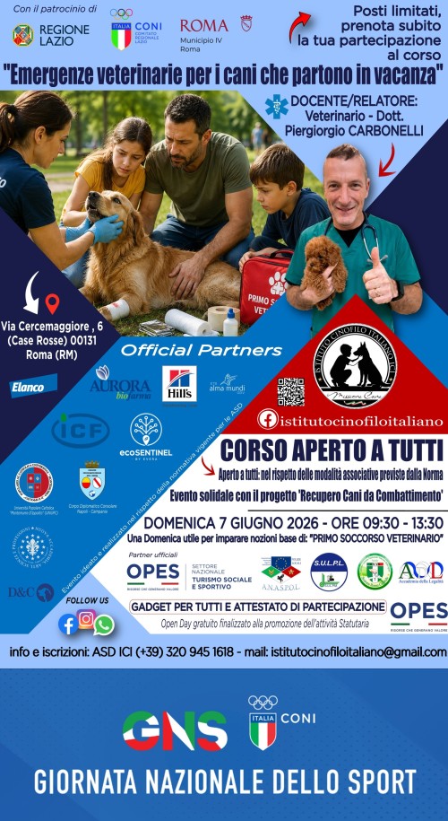 EMERGENZE VETERINARIE PER I CANI CHE PARTONO IN VA...